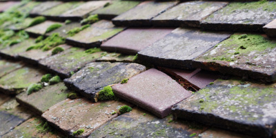 Panfield roof repair costs